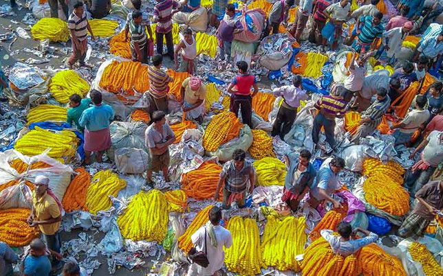 Calcutta early morning flower market